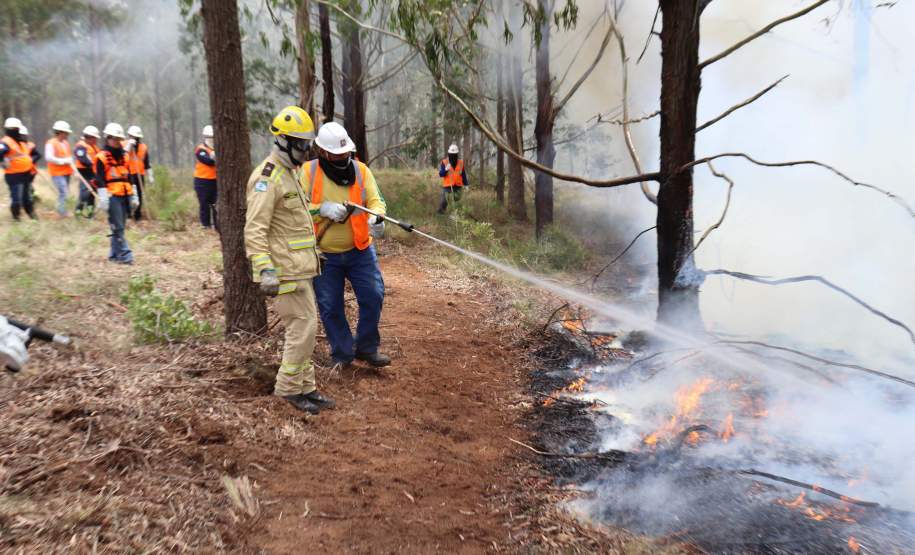 Governo do Paraná conclui capacitação de 540 brigadistas florestais em 100 municípios