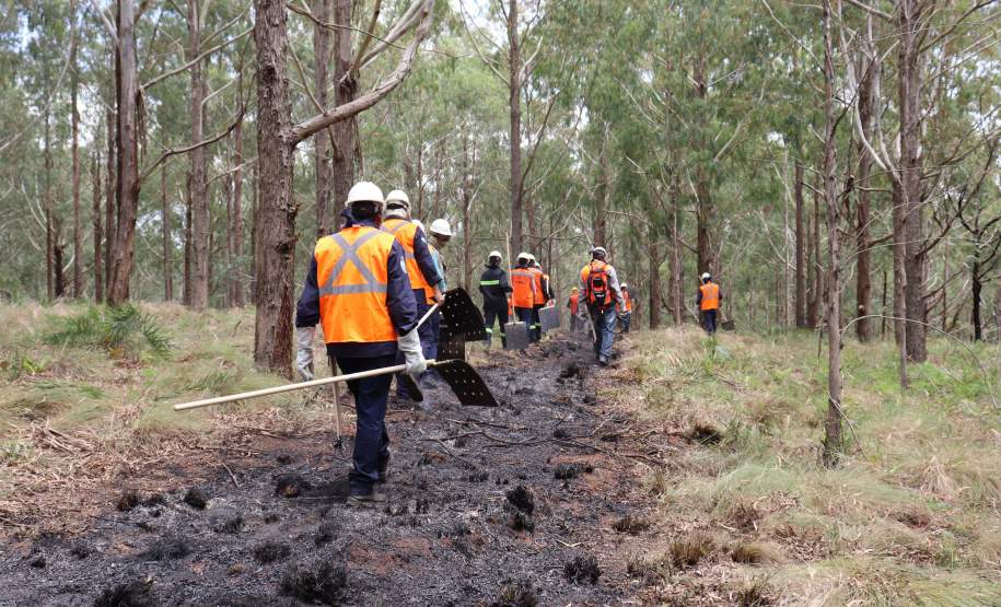 Governo do Paraná conclui capacitação de 540 brigadistas florestais em 100 municípios
