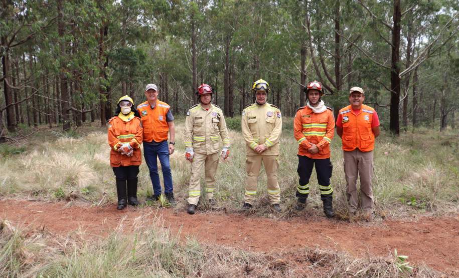 Governo do Paraná conclui capacitação de 540 brigadistas florestais em 100 municípios