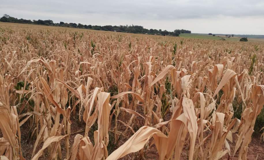 Governo transfere R$ 1 milhão para municípios em situação de emergência por estiagem