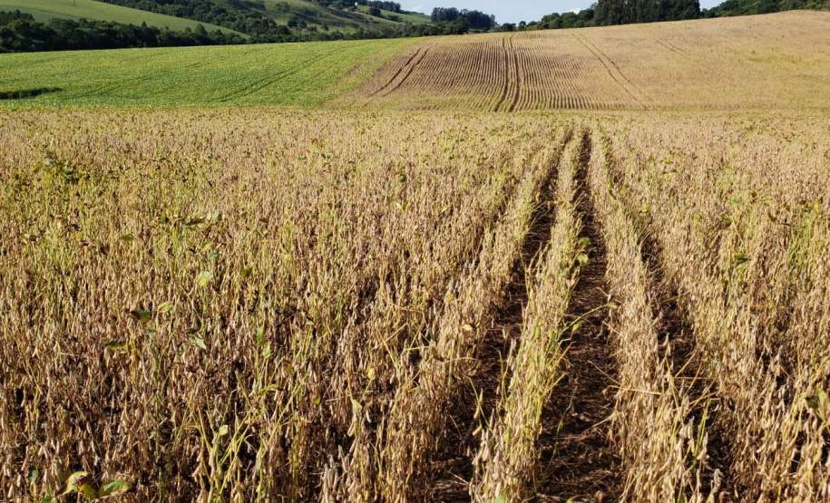 Estado repassou R$ 8 milhões aos municípios em situação de emergência em 2024