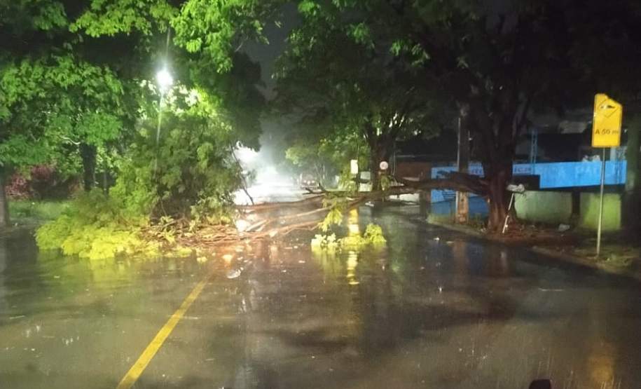 Defesa Civil atende municípios atingidos pelos temporais; ventos chegaram a 121 km/h