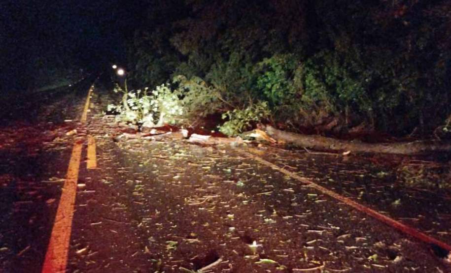 Defesa Civil atende municípios atingidos pelos temporais; ventos chegaram a 121 km/h