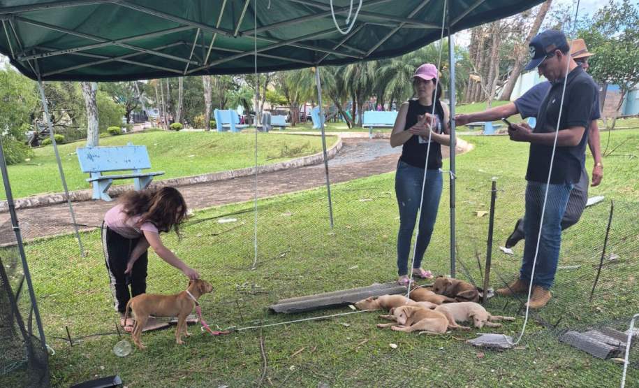 Rede de manejo que atua em desastres amparou 2,3 mil animais em Rio Bonito do Iguaçu