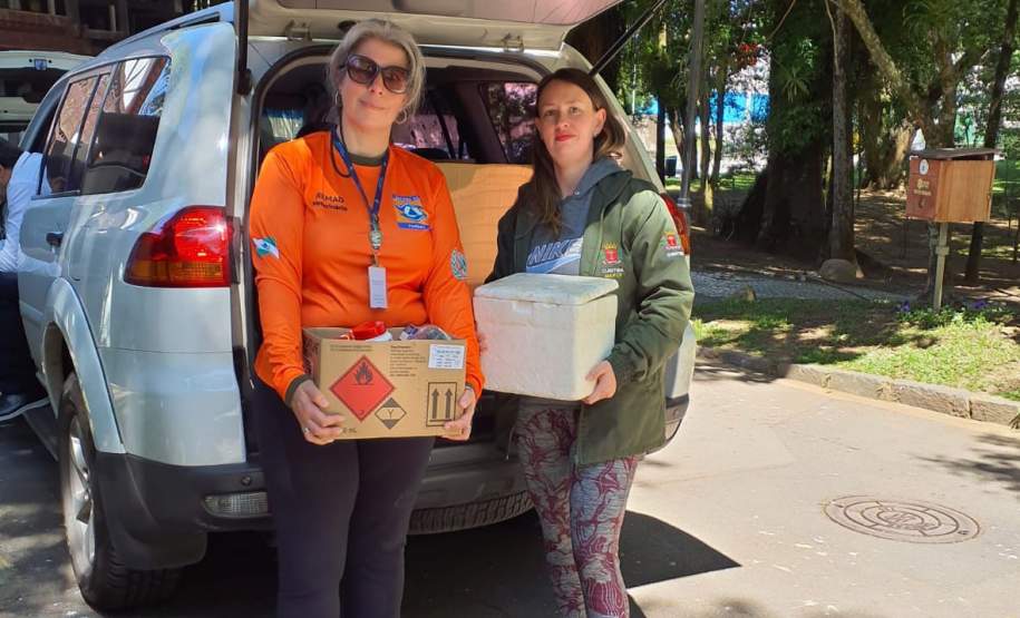 Rede de manejo que atua em desastres amparou 2,3 mil animais em Rio Bonito do Iguaçu